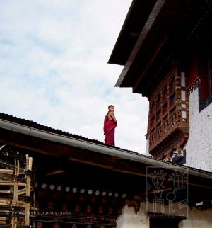 21. Monk on the Roof wm.jpg